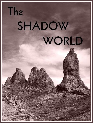 The Shadow World