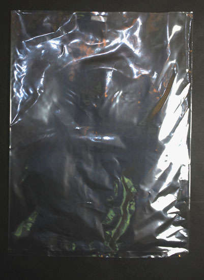 Open End Bags 9" x 12" 100/pkg