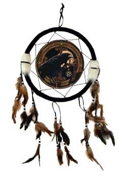 Raven dream catcher